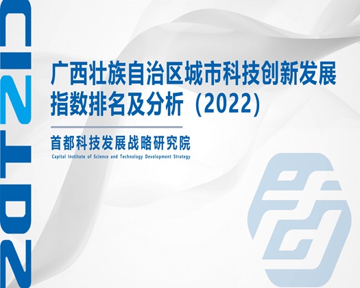 美女波波大鸡巴大视频【成果发布】广西壮族自治区城市科技创新发展指数排名及分析（2022）